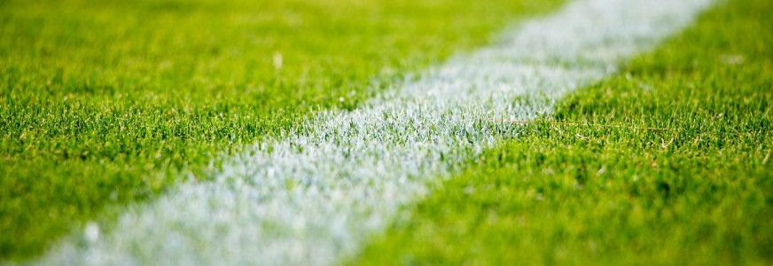 Rabobank in 2026 en verder