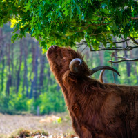 Sport- en beweegloket Noord Veluwe